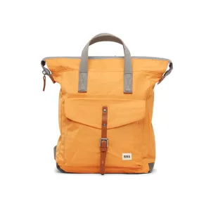 Bantry C Apricot