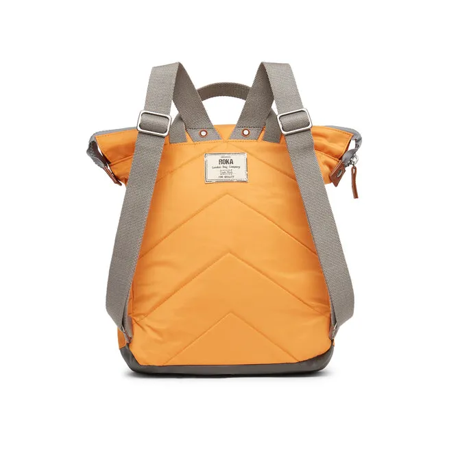 Bantry C Apricot