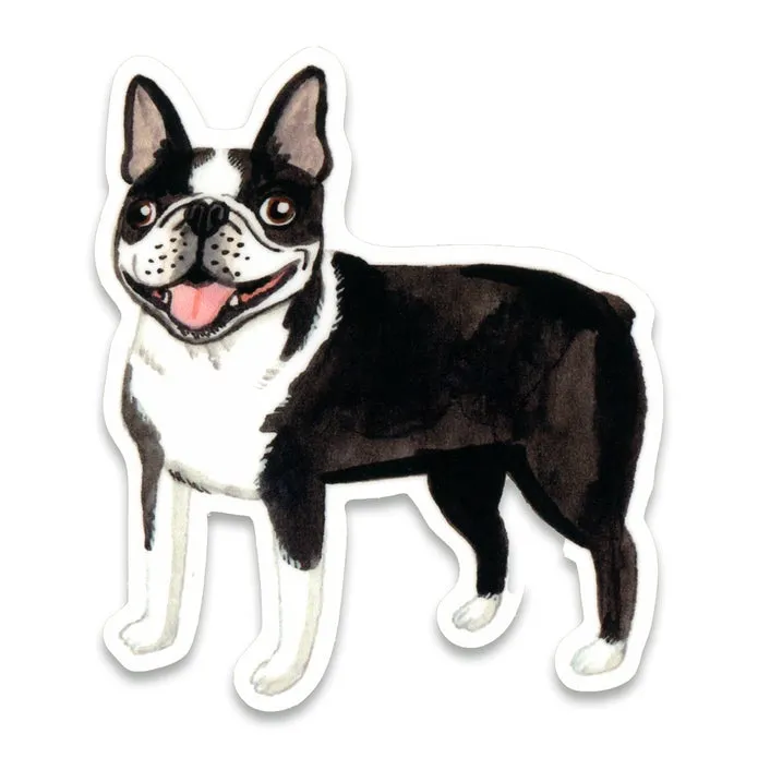 Cactus Club Boston Terrier Sticker