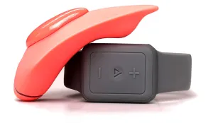 Companion - Wearable Remote Controlled Vibrator