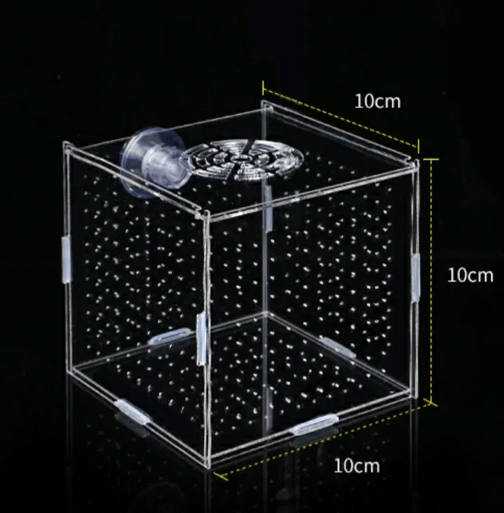 DIY Acrylic Breeder Box