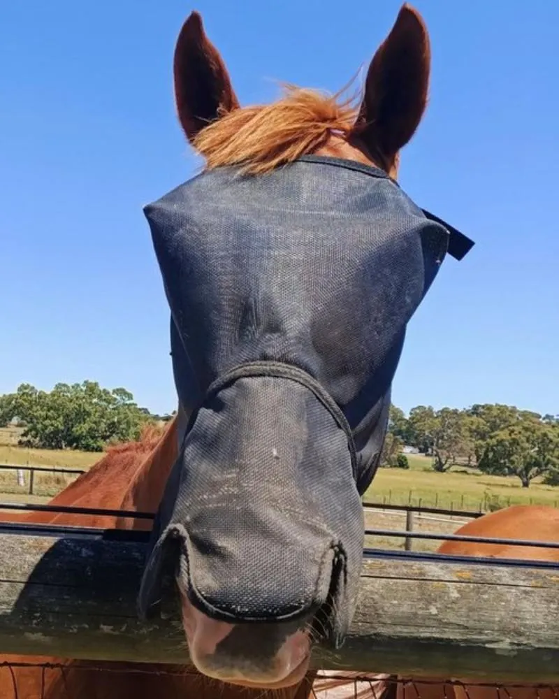 Flyveils by Design Fly Veil 100% UV Blockout Shaped Nose (FVDBUV)