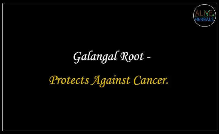 Galangal Root