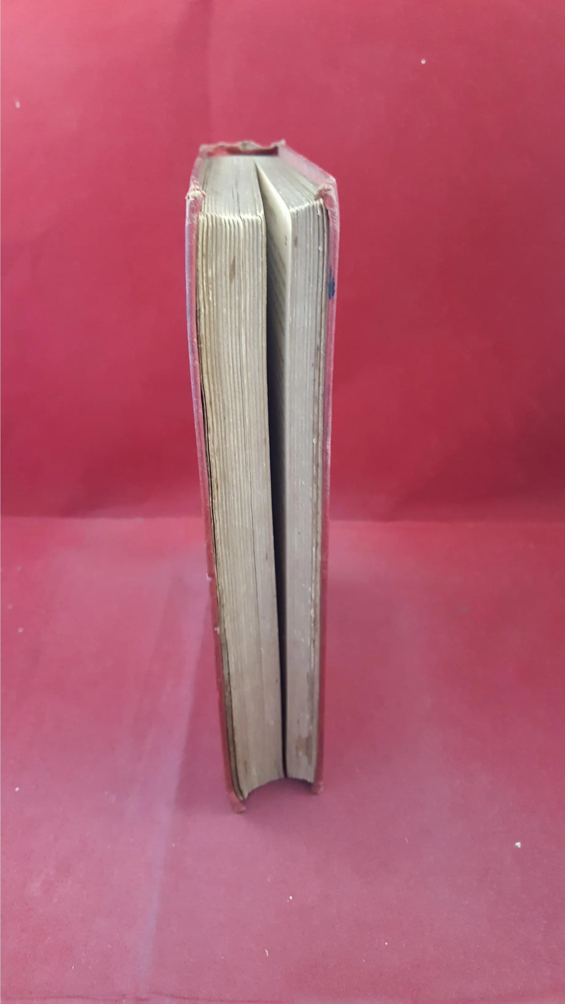 James Greenwood - The Little Ragamuffins, Ward, Lock and Co, 1884? First Edition