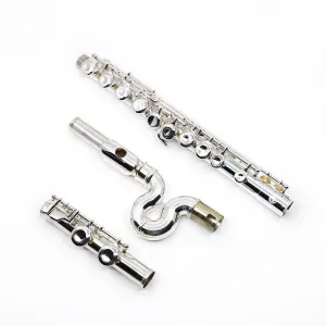 Jupiter Flute Model 700WRE - New