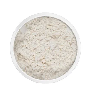 Kryolan Dermacolor P2 Fixing Powder 60g