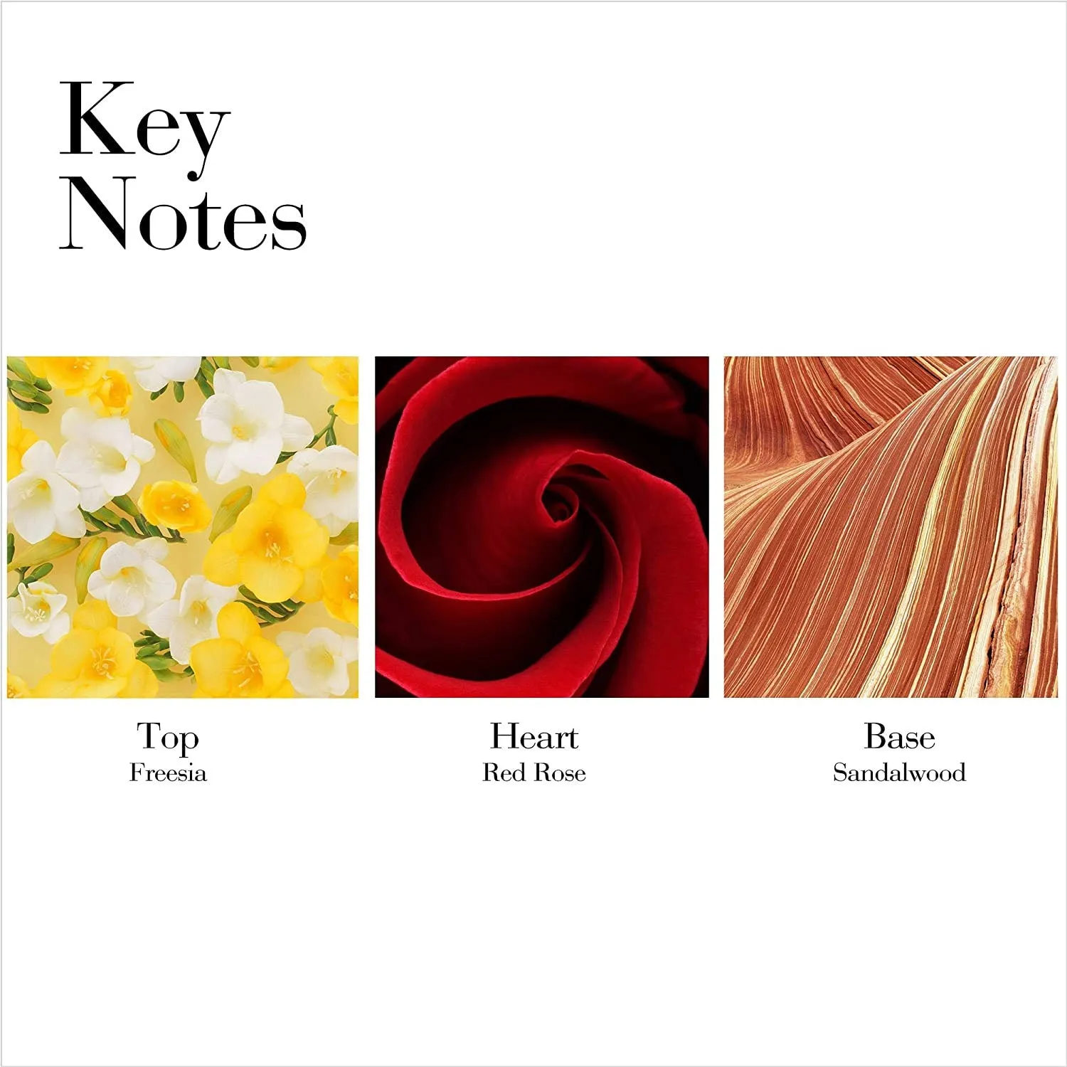 Nước Hoa Nữ Elizabeth Arden Red Door EDT