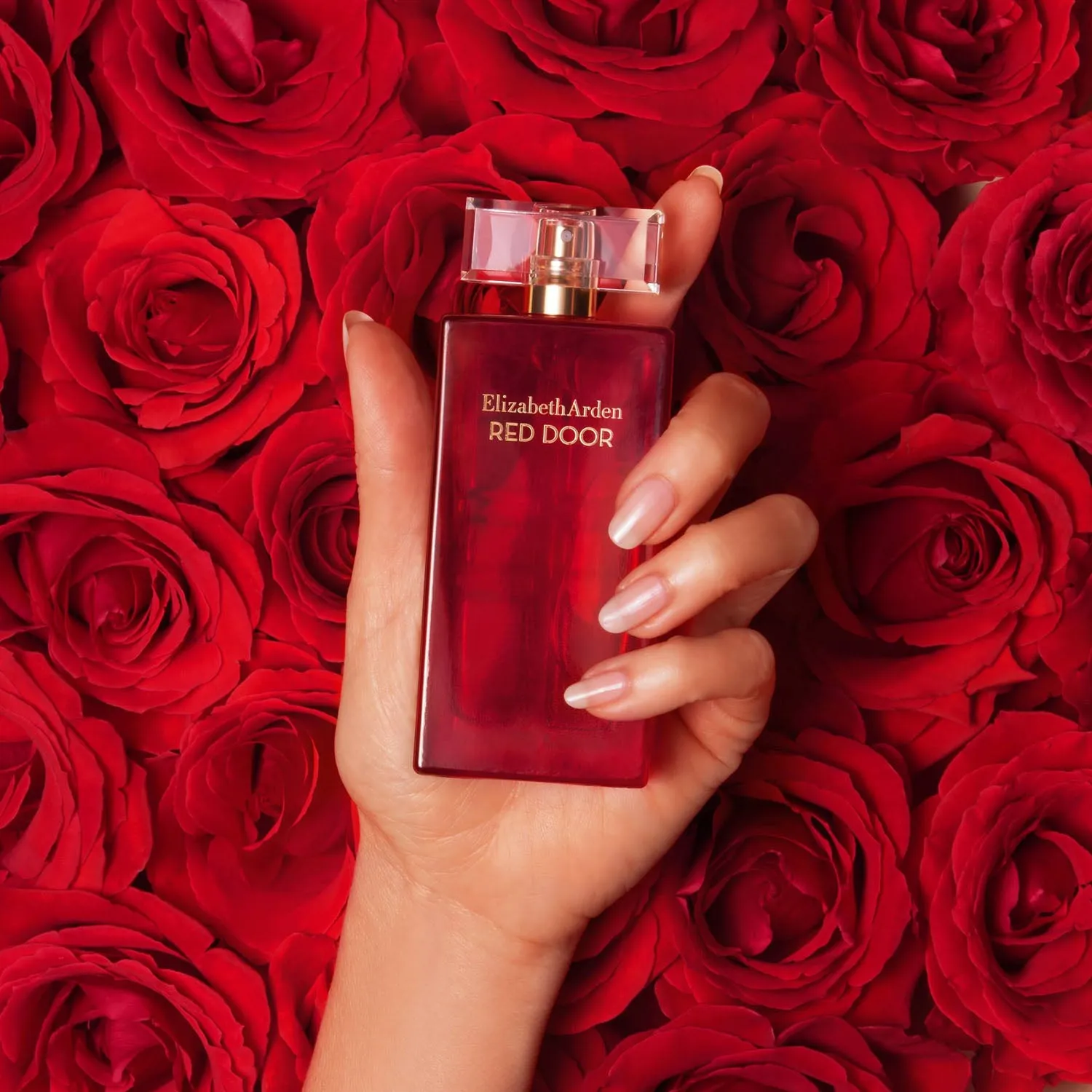 Nước Hoa Nữ Elizabeth Arden Red Door EDT