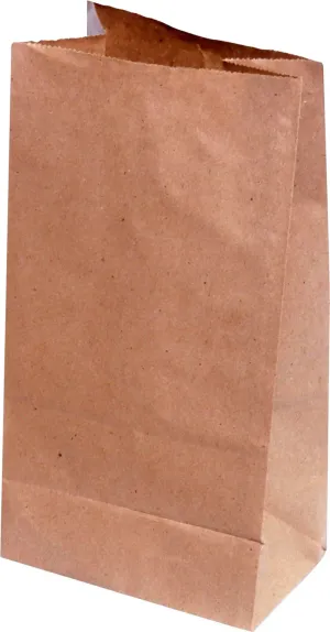 RiteEarth - 12 Lbs Plain Kraft Paper Bag, Pack of 500, 2Bn/Case (1000/Case) - PB120K