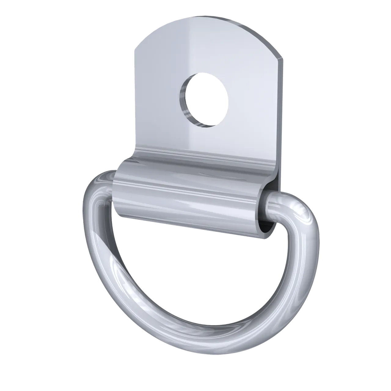 Steel D-Ring