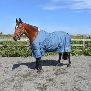 Whitaker Lupin Turnout Rug 100Gm