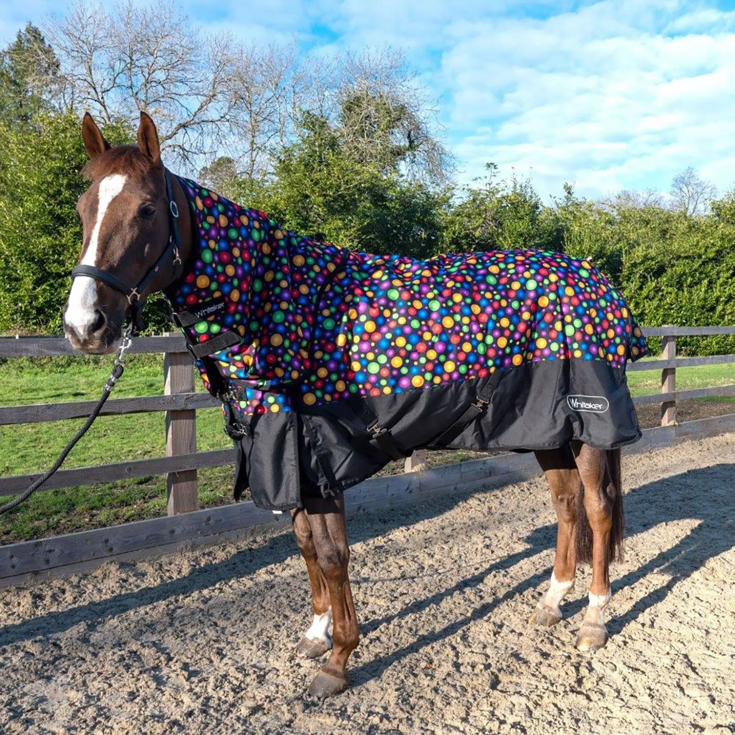 Whitaker Whiston Turnout Rug Detachable Neck 170Gm