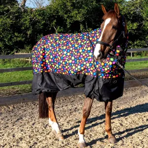 Whitaker Whiston Turnout Rug Detachable Neck 170Gm
